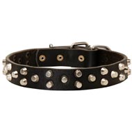 Fancy Design Leather Collie Collar with Nickel Pyramids