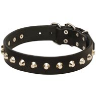 Gorgeous Wide Leather Collie Collar - Fashion Exclusive Design