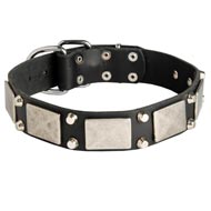 Leather Collie Collar Decorated with Nickel Cones and Plates