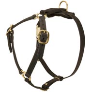 Y-Shaped Leather Collie Harness for Tracking and Training