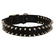 Collie Nylon Collar Spiked