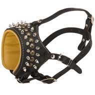 Royal Spiked and Studded Leather Collie Muzzle