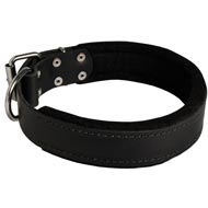Collie Durable Padded Leather Collar 40 mm