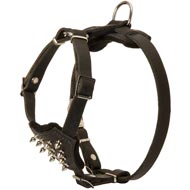 Durable Spiked Leather Puppy Collie Harness