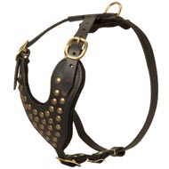 Adjustable Studded Leather Collie Harness for Fashion Walking