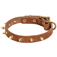 Walking Designer Leather Collie Collar with Brass Spikes