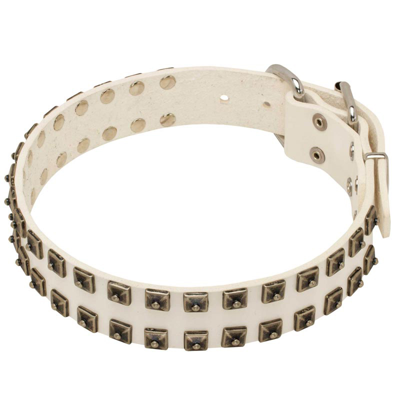 White Leather Collie Collar with Old Nickel Square Studs for Daily Dog