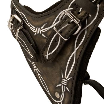 Padded Chest Plate of Collie Harness