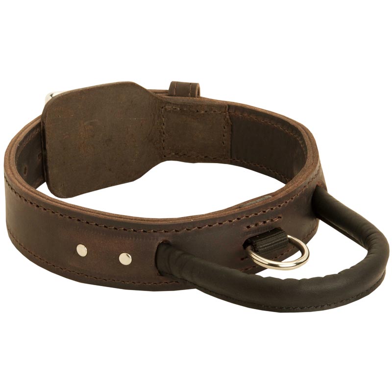 Extra Durable Leather Collie Collar with Handle for Attack Training
