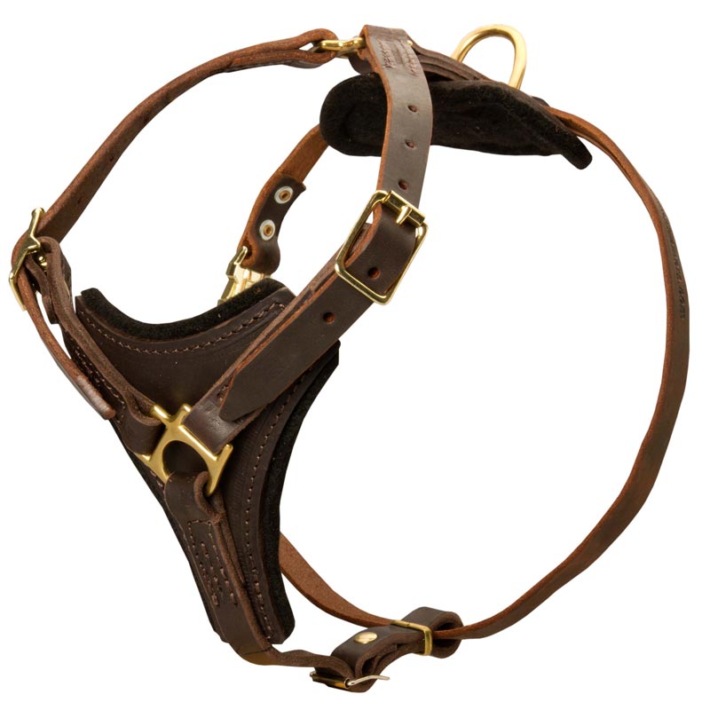 Tracking Leather Collie Harness With Y-Chest Plate