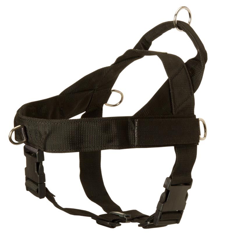 Collie Harness Nylon with Patches
