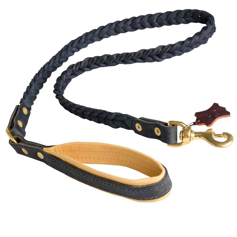 braided dog leash