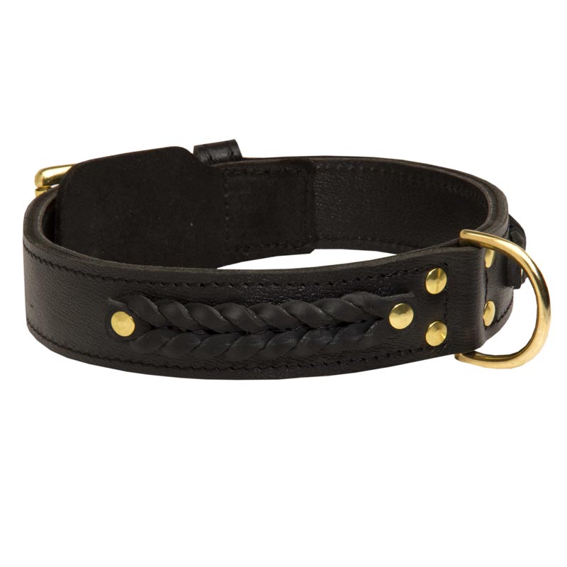 Incredible Design Collie Braided Leather Collar