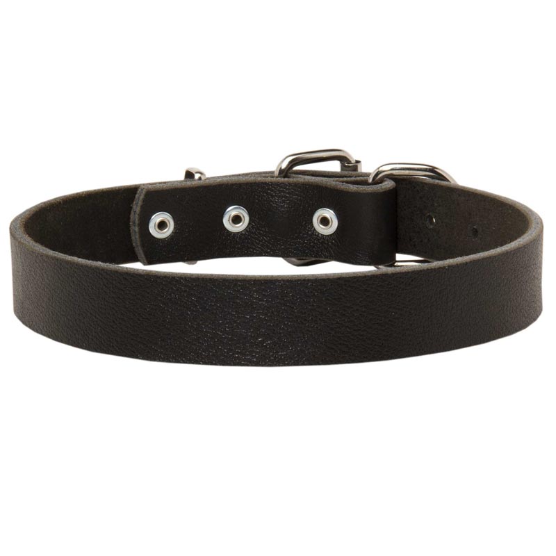 Collie Leather Dog Collar For Pleasant Wearing
