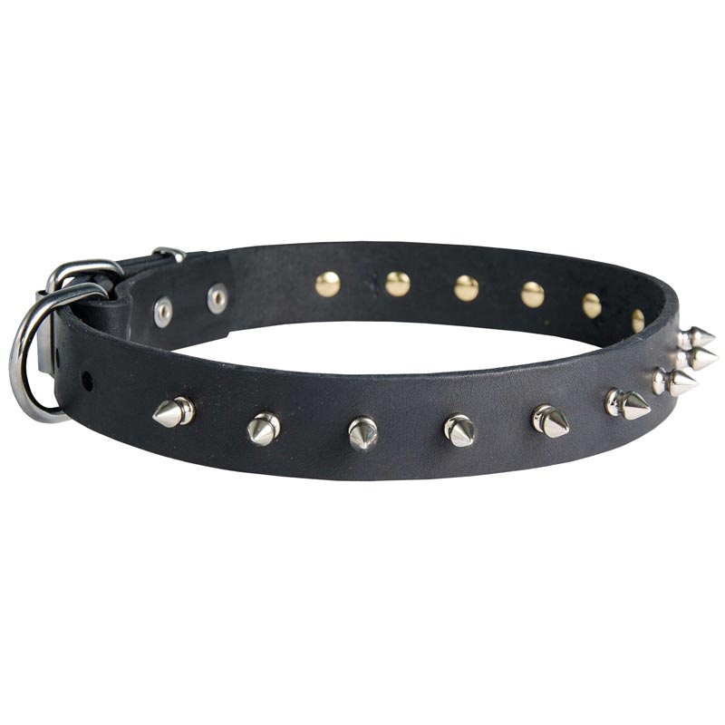 Collie Leather Collar Spiked 30 mm