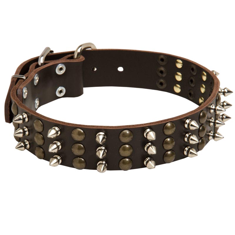 Collie Spikes and Studs Rows Leather Dog Collar