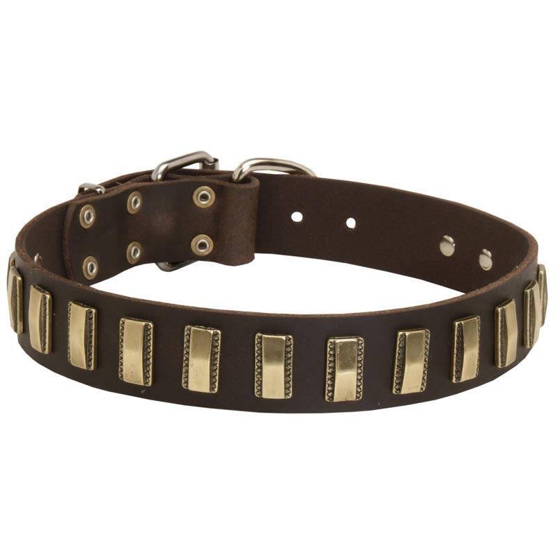 Leather Collie Collar with Awesome Brass Plates