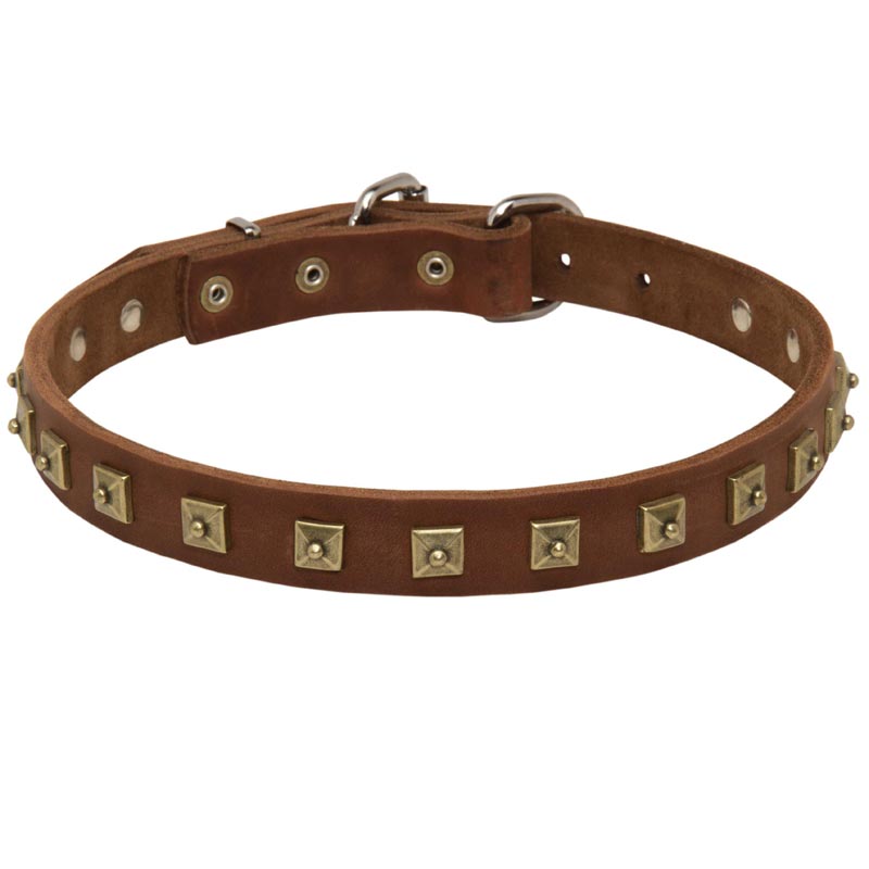 Handcrafted 1 Row Square Studded Leather Collie Collar