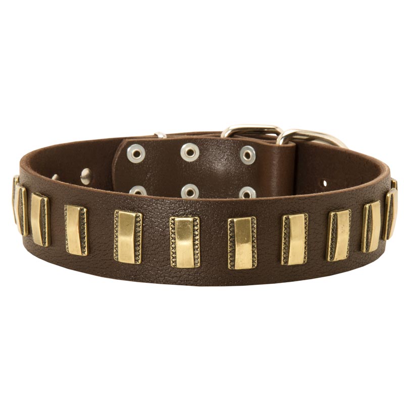 Collie Leather Collar with Shiny Plates
