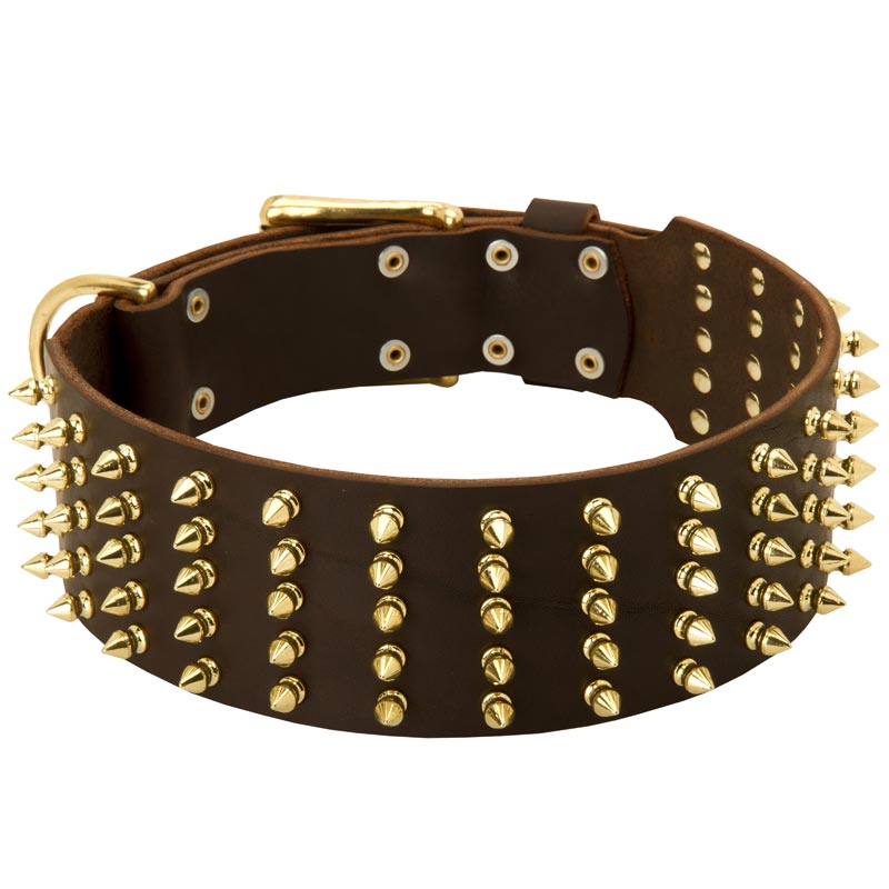 Wide Spiked Leather Collie Collar