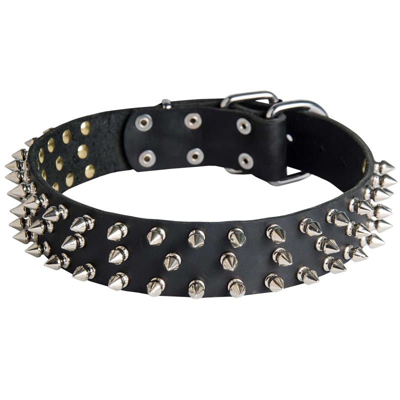 Leather Collie Collar with 3 Rows of Nickel Spikes