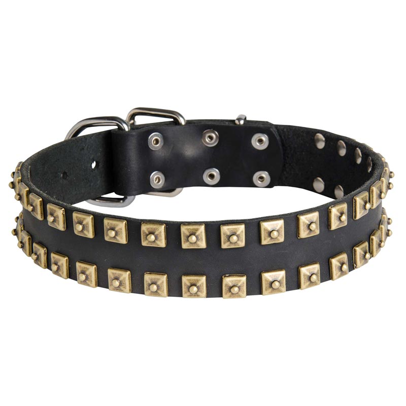 2 Rows Brass Studded Leather Collie Collar for Walking and Training
