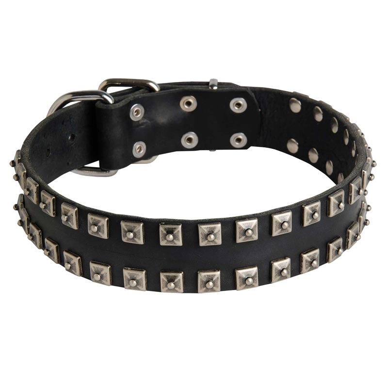 New Leather Collie Collar - Fashion Exclusive Design - "Caterpillar"