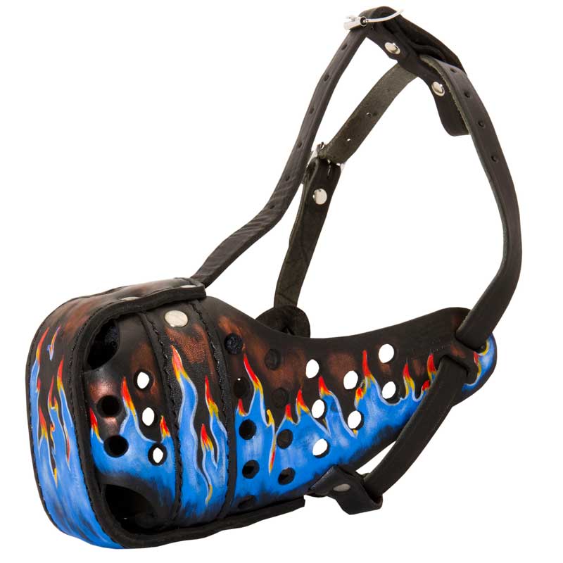 Ergonomic Design Leather Collie Muzzle for Agitation Training