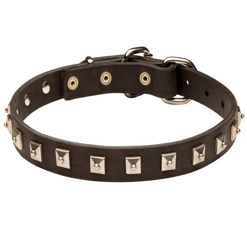 Collie Leather Collar Caterpillar Design