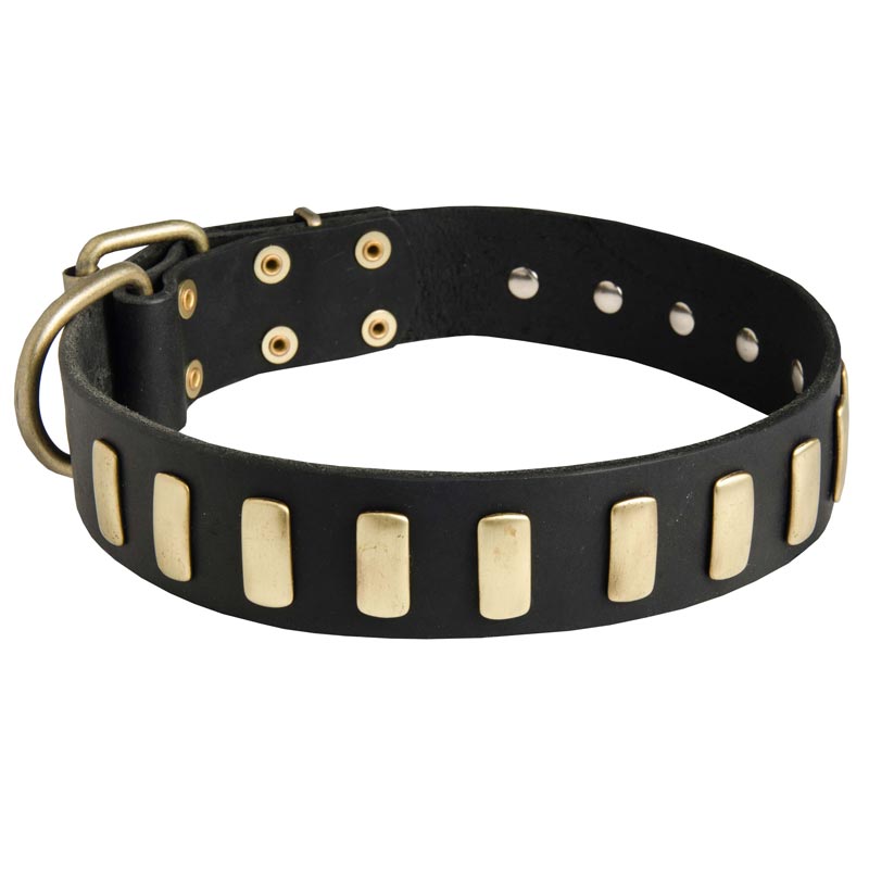 Fancy Leather Collie Collar with Brass Plates