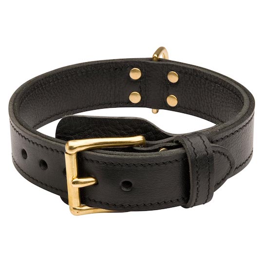 Training 2 Ply Leather Collie Collar