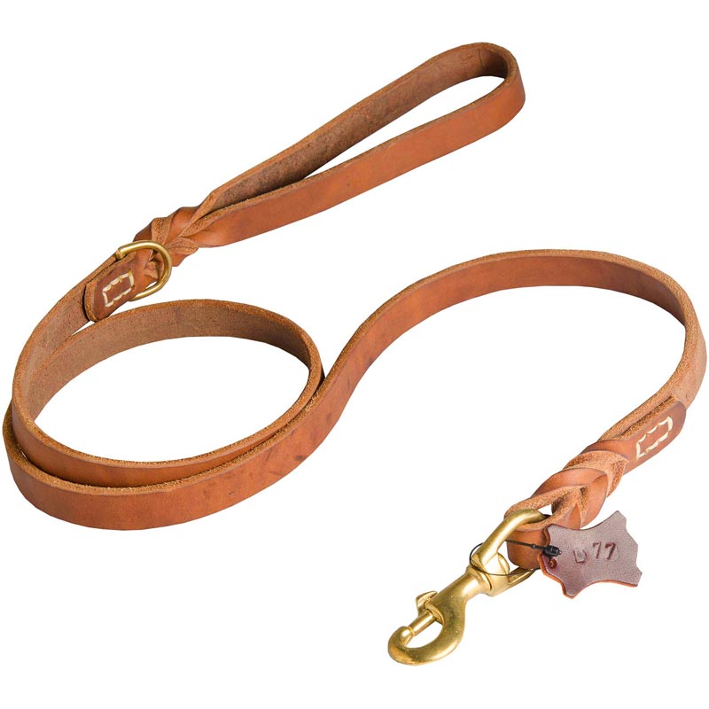 Walking and Training Leather Collie Leash with Comfy Handle