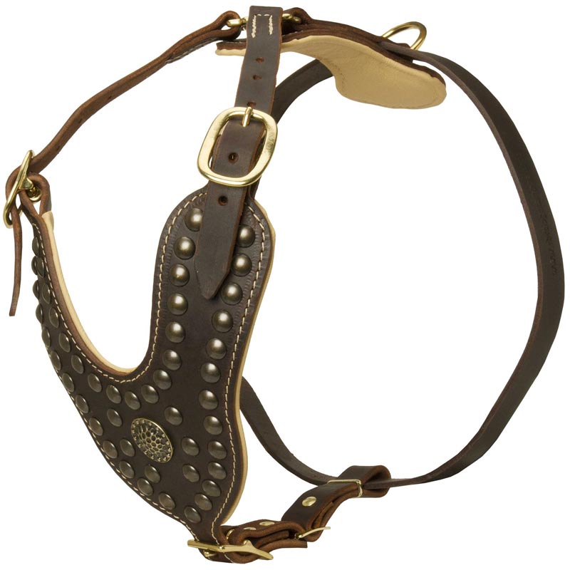 Royal Design Leather Collie Harness with Brass Studs