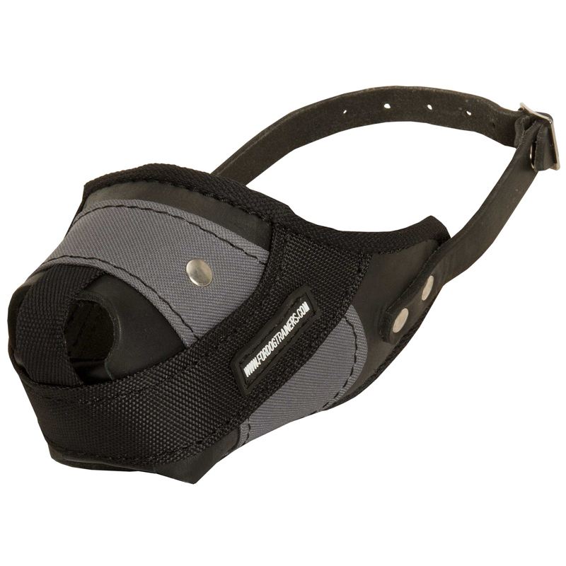 Protection Training Collie Muzzle Made of Nylon and Leather