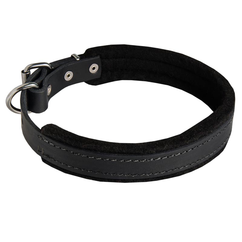 Padded Leather Collie Collar 25 mm for Dog Training