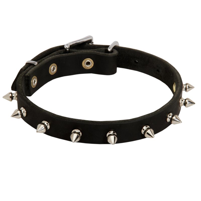 Collie Leather Collar Spiked 3/4 Inch