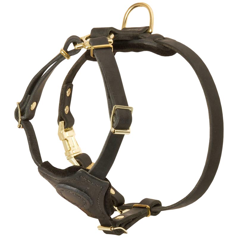 Spruce Leather Collie Harness With Small Chest Plate