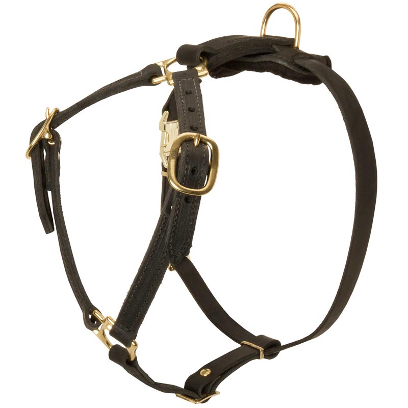 Y-Shaped Leather Collie Harness for Tracking and Training
