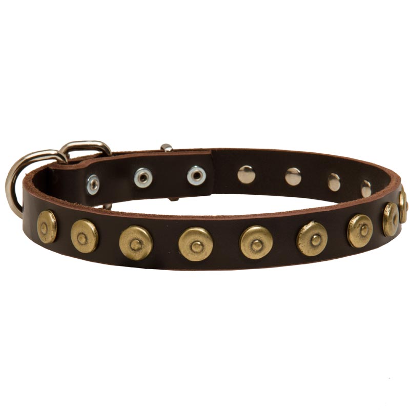 Leather Collie Collar with Brass Dotted Circles for Fashion Walking