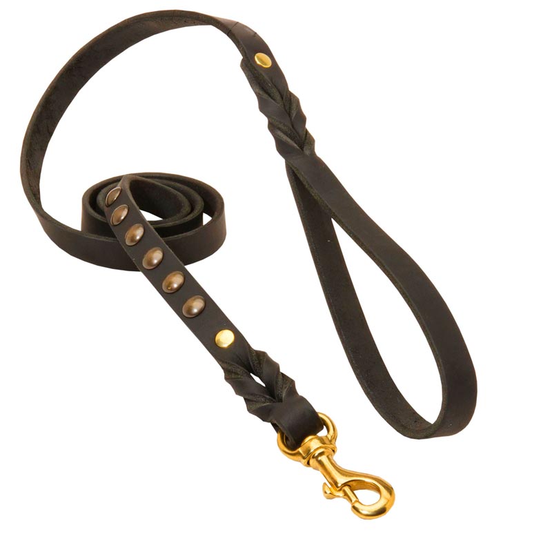 Studded Leather Collie Leash for Dog Walking and Training