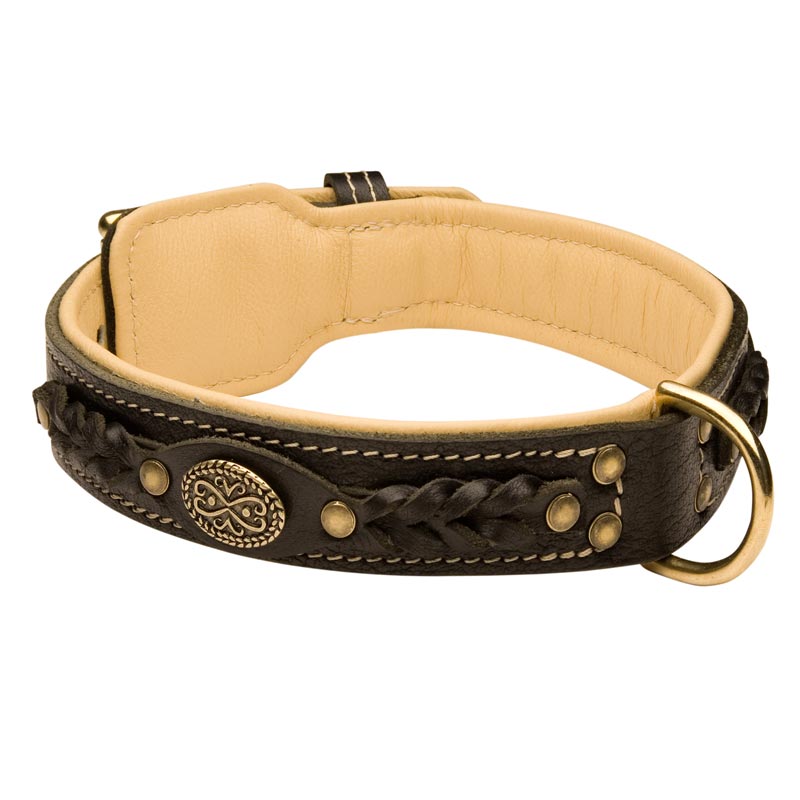 Collie Leather Collar Braided - Click Image to Close