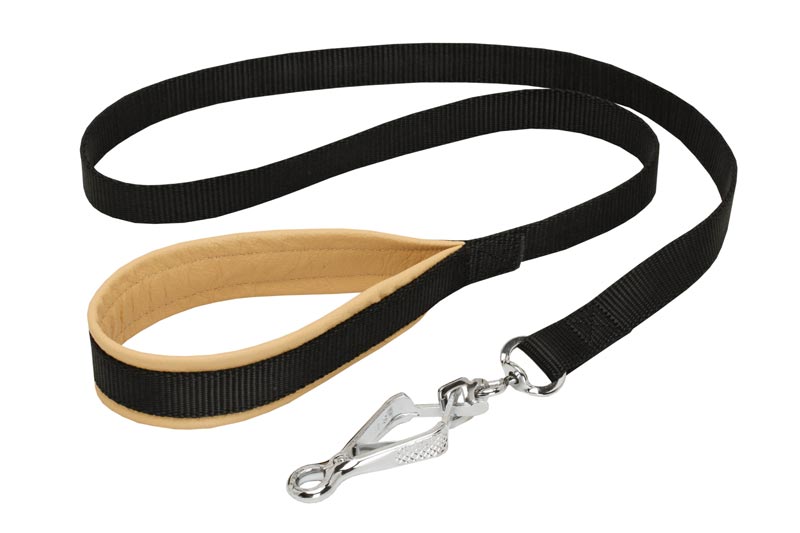 Nylon Collie Leash with Support Material on the Handle for Walking and Training