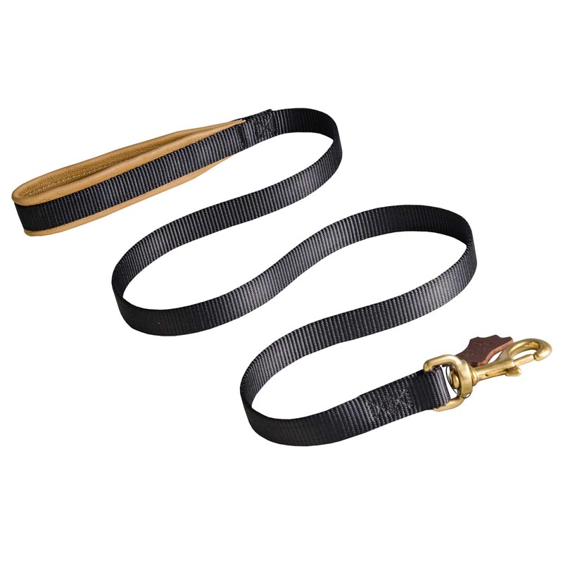 No Rubbing Nylon Collie Leash with Support Leather Material on the Handle