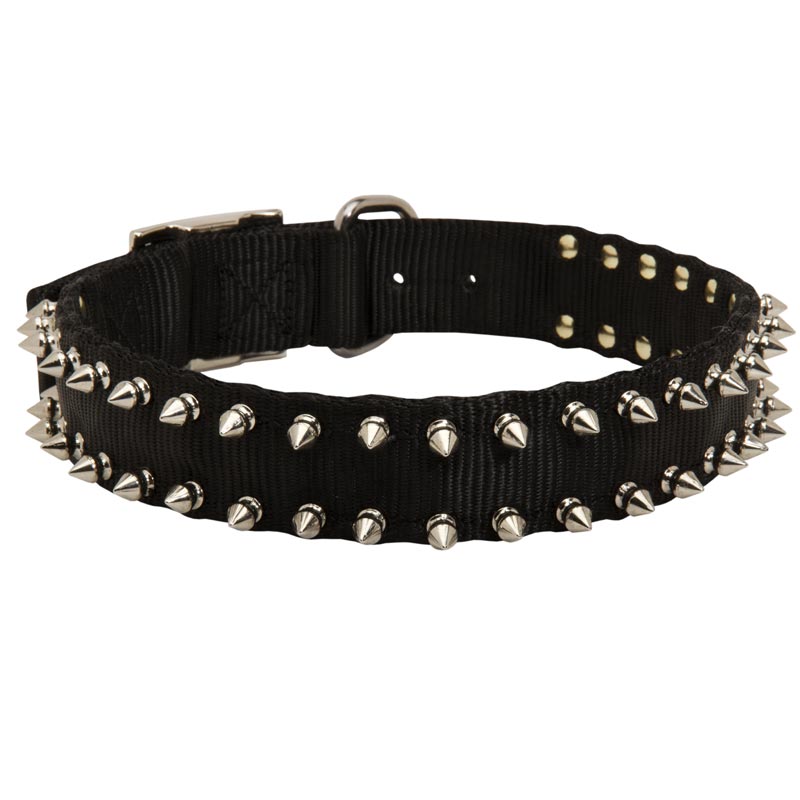 Collie Nylon Collar Spiked