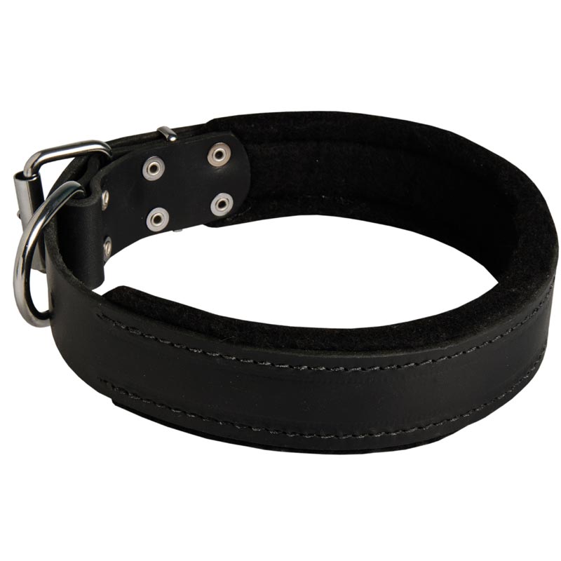 Collie Durable Padded Leather Collar 40 mm