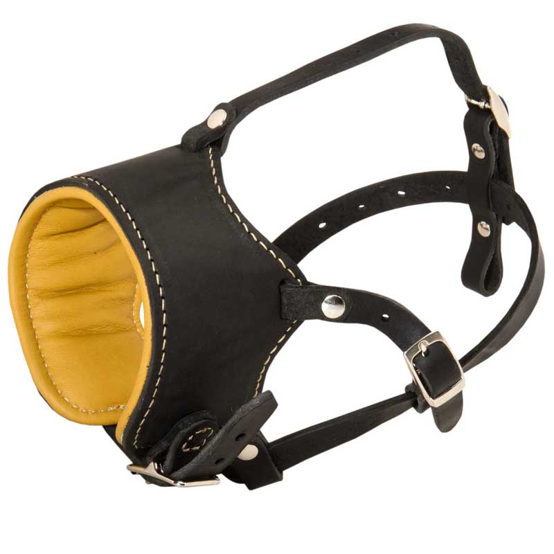 Snout Short Leather Collie Muzzle Padded with Nappa Leather