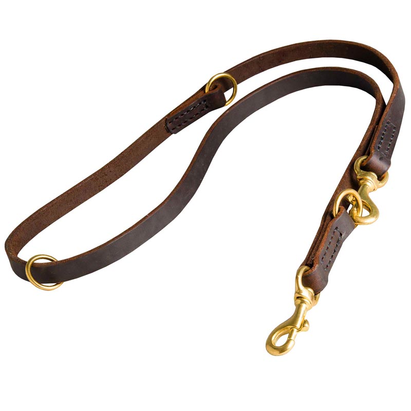 Multifunctional Leather Collie Leash