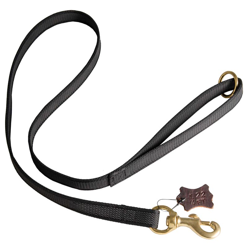 All Weather Nylon Collie Leash for Walking and Training Activities