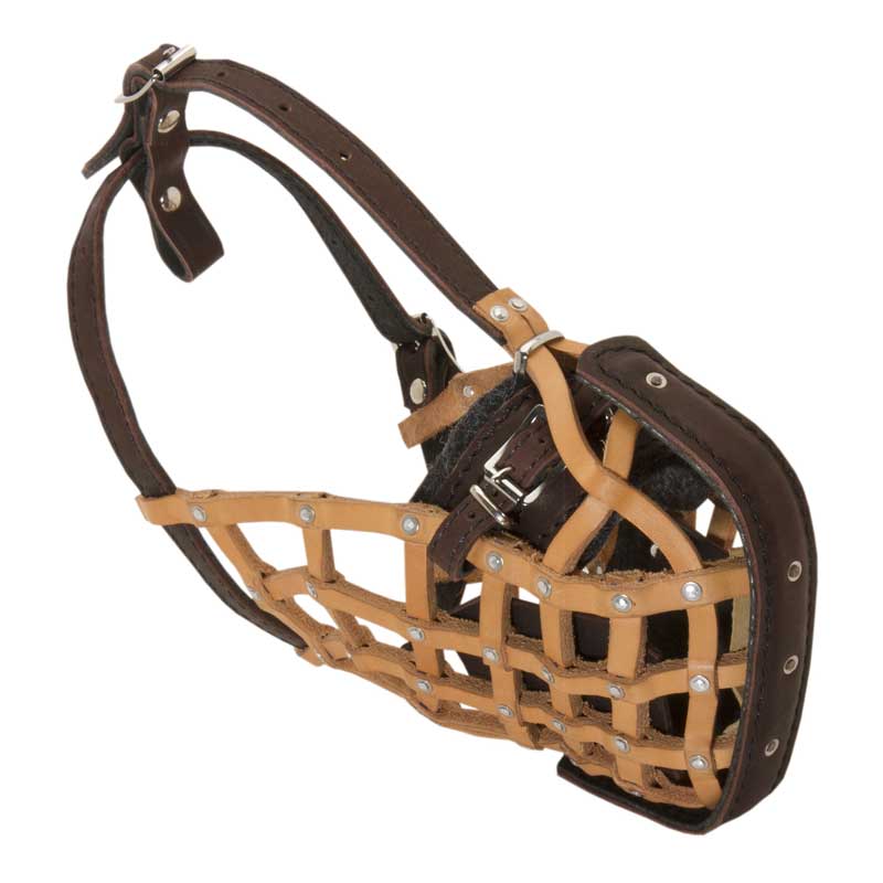 Basket-Like Collie Muzzle Leather