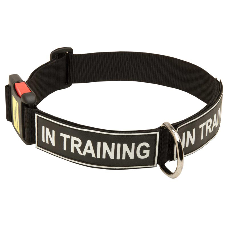 All Weather Nylon Collie Collar with ID Patches